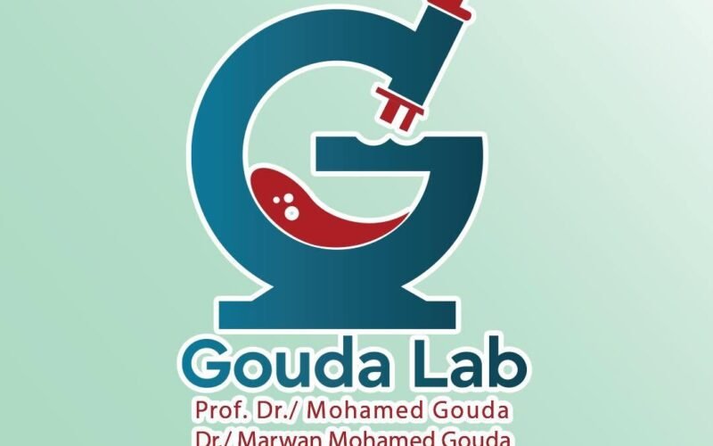 Gouda Labs